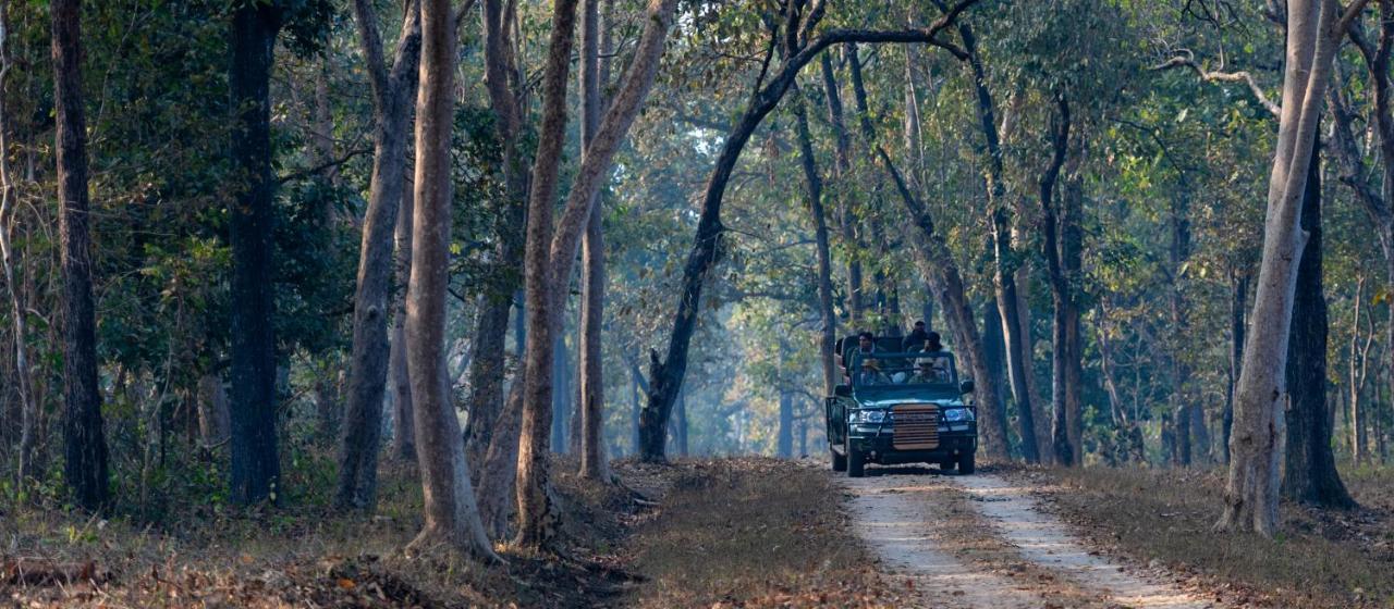 Banjaar Tola Kanha National Park - A Taj Safari Lodge Eksteriør bilde